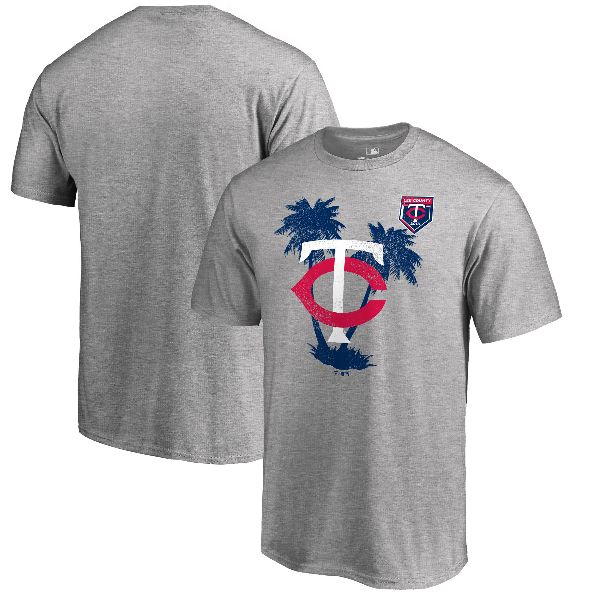 Men's Minnesota Twins Fanatics Branded 2018 MLB Spring Training Vintage T-Shirt – Heather Gray